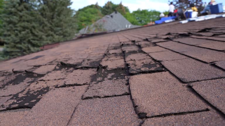 Best Storm Damage Roof Repair  in USA